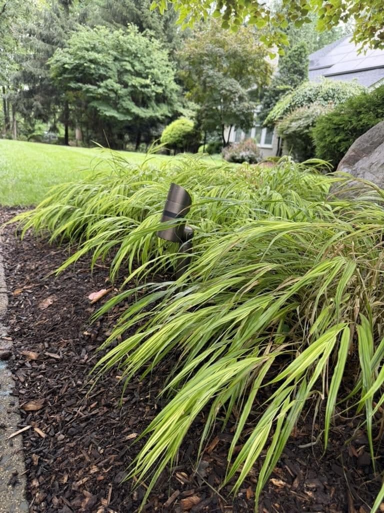 Coastal Source bullet up-light in a mulched bed