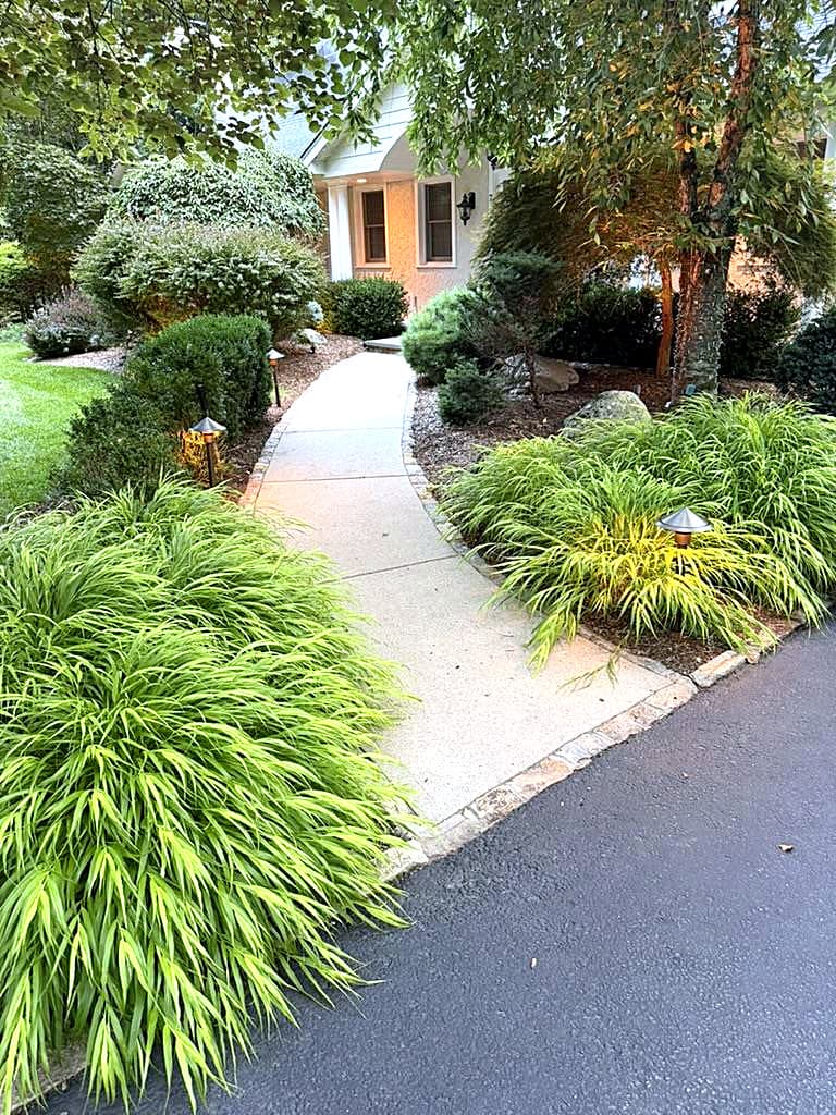 Front walk and terrace lighting scene — day
